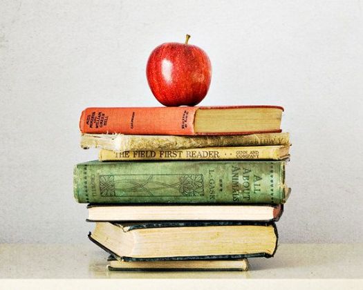 60691332b8757547548e16aceb5d92fc--school-photography-book-photography