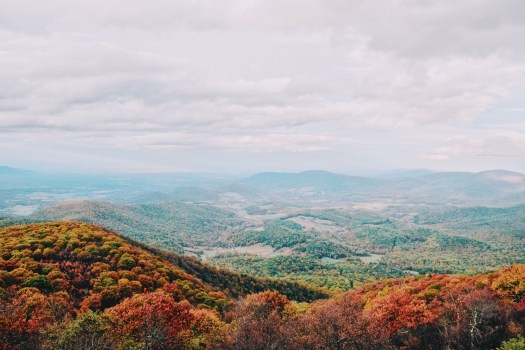 Processed with VSCO with c6 preset