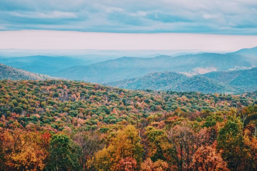 Processed with VSCO with c6 preset