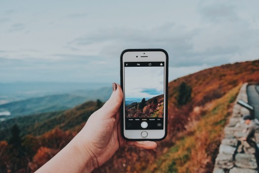 Processed with VSCO with c8 preset