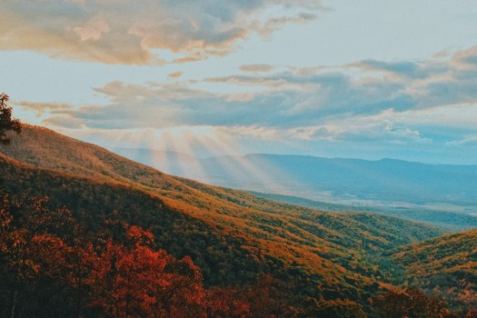 Processed with VSCO with c7 preset