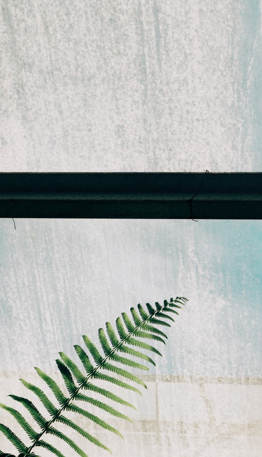 Processed with VSCO with e1 preset