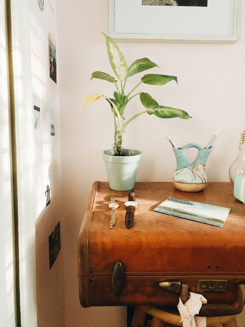 Processed with VSCO with a6 preset